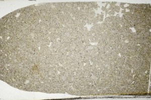 Plane Polarized, S63859