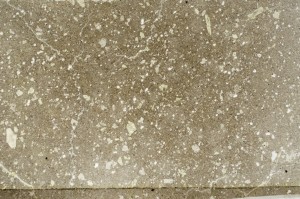 Plane Polarized, S63862