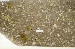 Plane Polarized, S63863