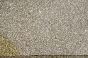 Plane Polarized, S63867
