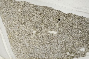 Plane Polarized, S63871