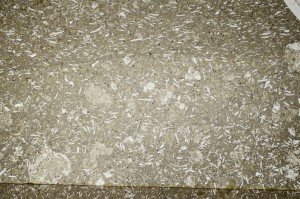 Plane Polarized, S63873