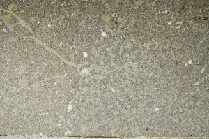 Plane Polarized, S63874