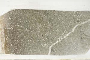 Plane Polarized, S63882