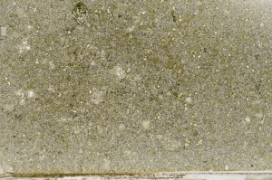 Plane Polarized, S63883