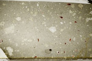 Plane Polarized, S63884