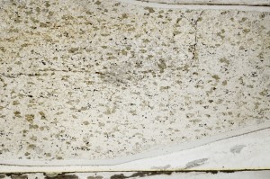 Plane Polarized, S63889
