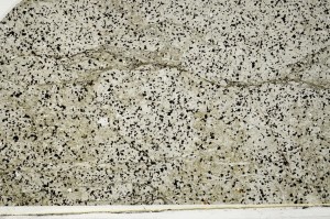 Plane Polarized, S64016