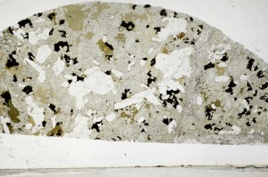 Plane Polarized, S64017