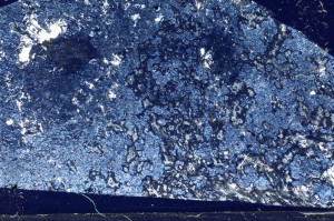 Cross Polarized, S64019