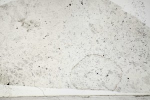 Plane Polarized, S64019