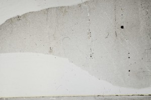 Plane Polarized, S64020