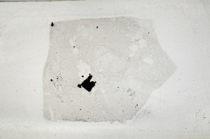 Plane Polarized, S64020/A