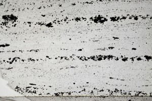 Plane Polarized, S64041