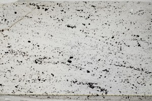 Plane Polarized, S64044