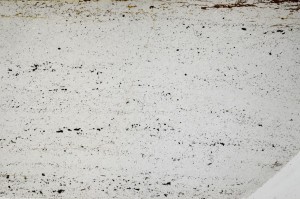 Plane Polarized, S64058