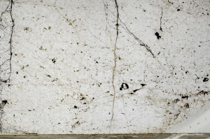 Plane Polarized, S64059