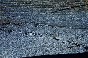 Cross Polarized, S64060