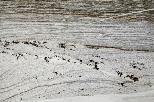 Plane Polarized, S64060