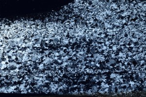 Cross Polarized, S64065