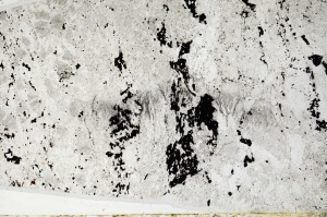 Plane Polarized, S64066