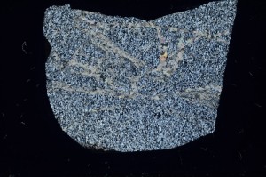 Cross Polarized, S64068