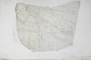 Plane Polarized, S64068