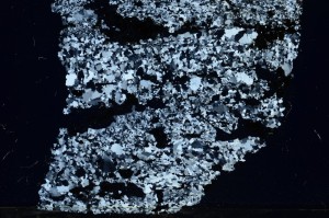 Cross Polarized, S64071