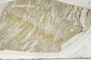 Plane Polarized, S64110