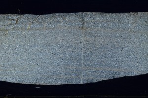 Cross Polarized, S64119