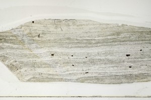 Plane Polarized, S64122