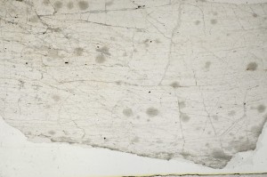Plane Polarized, S64123