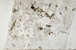 Plane Polarized, S64140