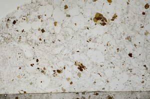 Plane Polarized, S64158