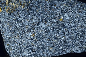 Cross Polarized, S64203