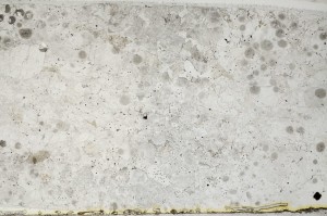 Plane Polarized, S64237/A