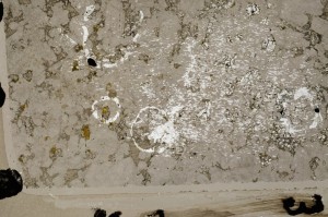 Plane Polarized, S64298