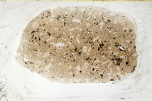 Plane Polarized, S64311