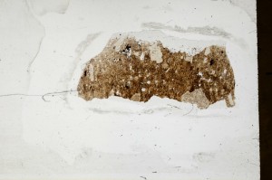 Plane Polarized, S64312