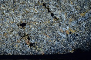 Cross Polarized, S64359