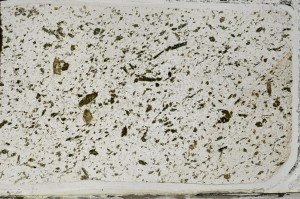 Plane Polarized, S64360