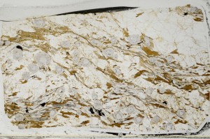 Plane Polarized, S64361