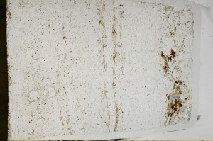 Plane Polarized, S64364