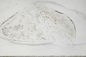 Plane Polarized, S64367