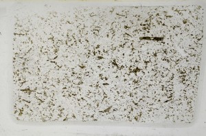 Plane Polarized, S64372/A