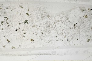 Plane Polarized, S64375/A