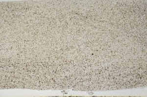 Plane Polarized, S64403