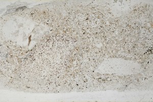 Plane Polarized, S64408