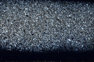 Cross Polarized, S64409