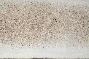 Plane Polarized, S64409